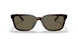 512003 - Havana - Dark Brown Solid