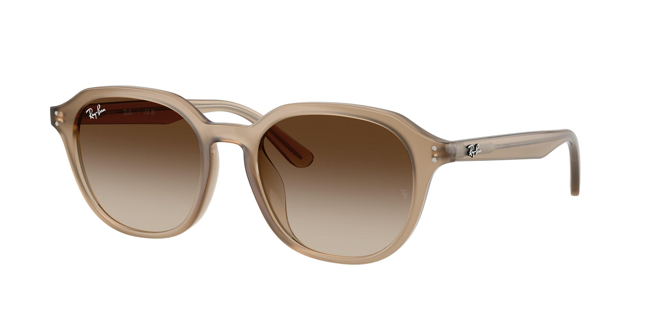 Ray-Ban 4459D Sunglasses