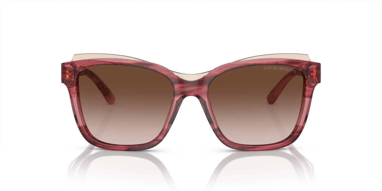 605713 - Red - Gradient Brown