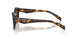 17N09Z - Tortoise - Dark Brown