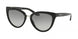 Ralph Lauren 8167 Sunglasses