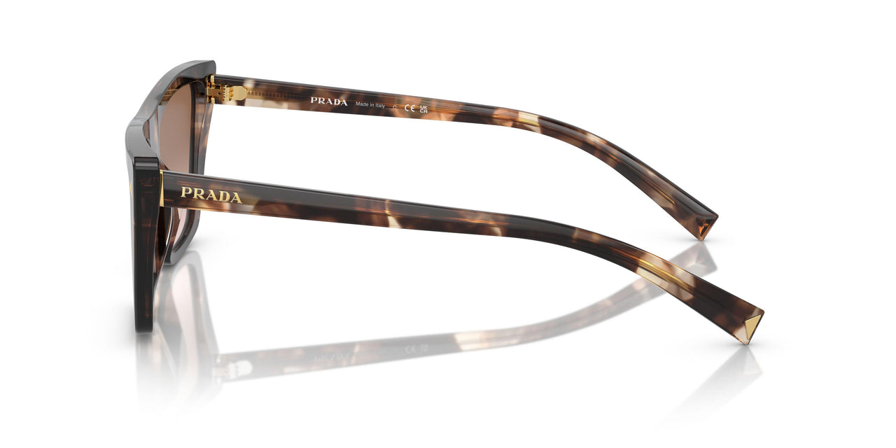 07R0A6 - Tortoise - Brown Gradient