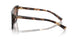 07R0A6 - Tortoise - Brown Gradient