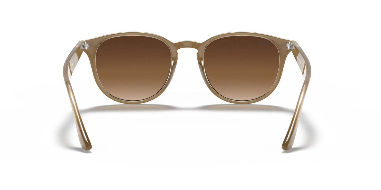 616613 - Light Brown - Brown Gradient