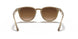616613 - Light Brown - Brown Gradient