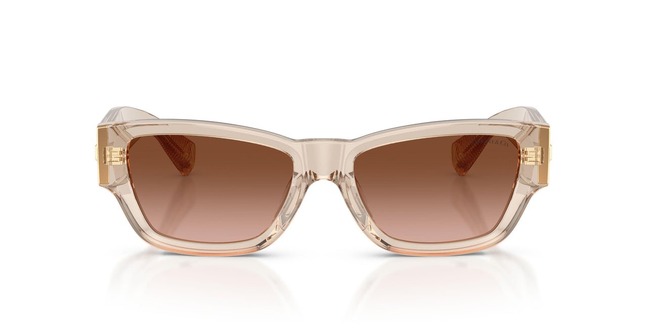 84453B - Brown - Brown Gradient