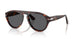 24/B1 - Tortoise - Dark Grey
