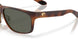 912805 - Tortoise - Gray