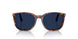 24/GG - Tortoise - Transitions 8 Sapphire