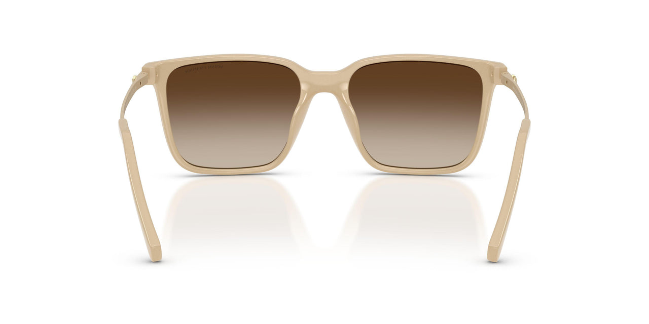 842013 - Brown - Brown Gradient