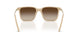 842013 - Brown - Brown Gradient