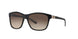 910/13 - Black - Brown Gradient