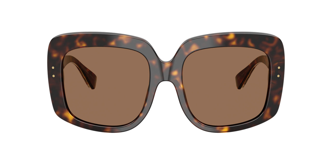 502/73 - Tortoise - Dark Brown