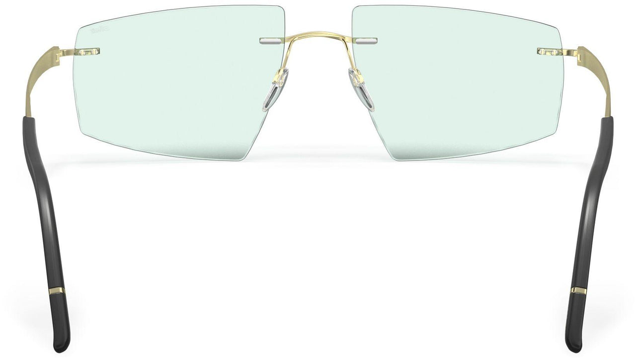 8540 - Champagne / Black - soft mint