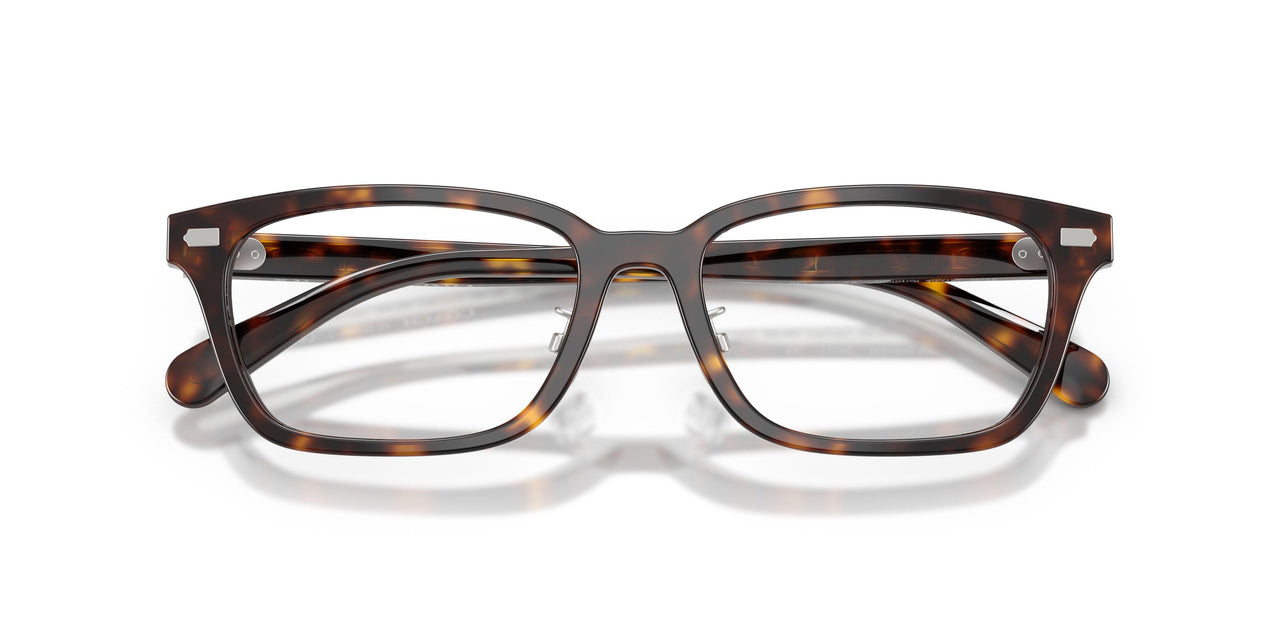 5120 - Tortoise