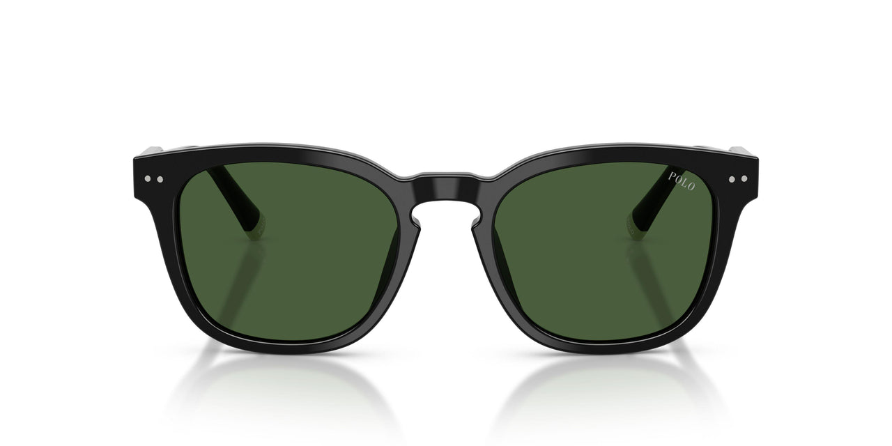 500171 - Black - Dark Green