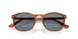 96/56 - Brown - Light Azure