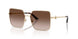 Jimmy Choo 4031B Sunglasses