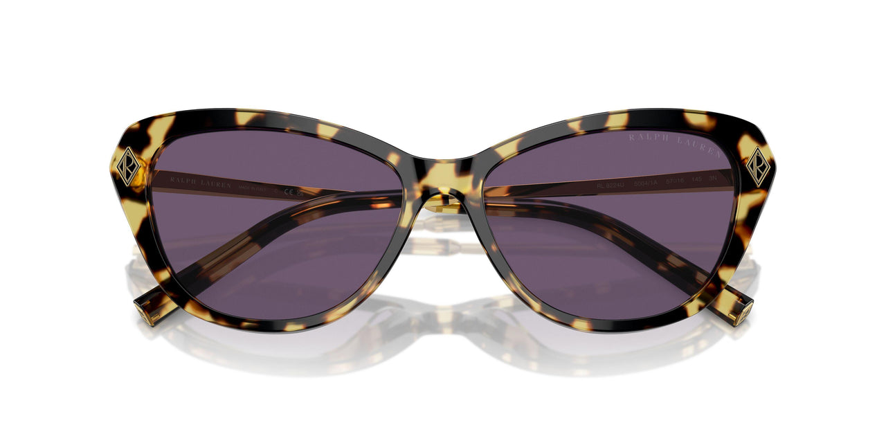 50041A - Brown - Purple