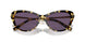 50041A - Brown - Purple