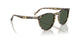 31869A - Tortoise - Dark Green Polar