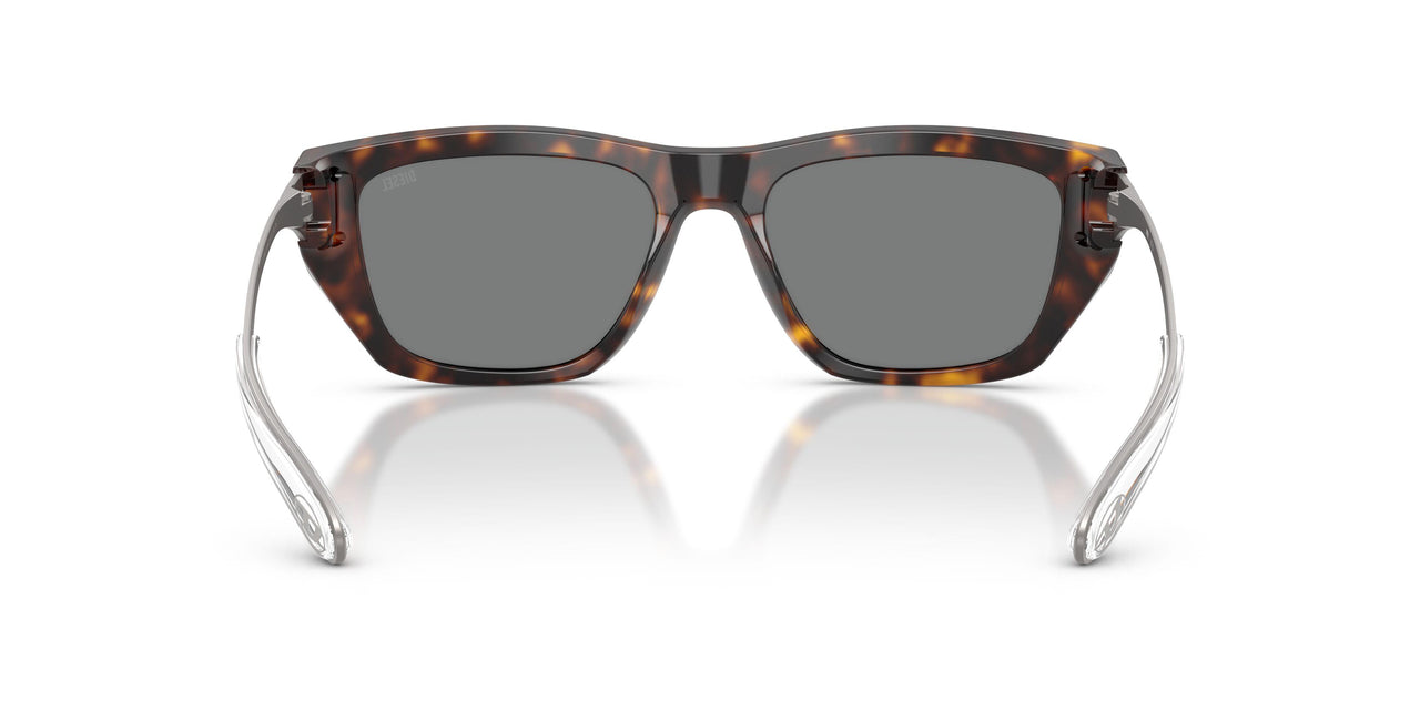 200387 - Tortoise - Dark Grey