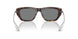 200387 - Tortoise - Dark Grey