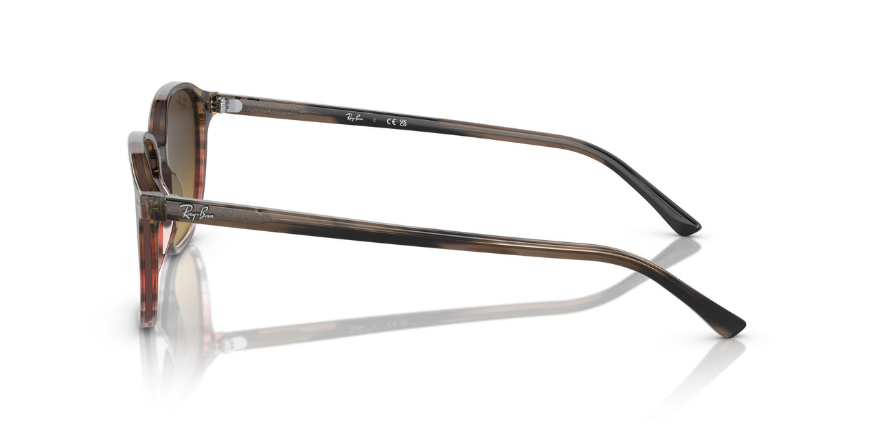 138085 - Brown - Brown