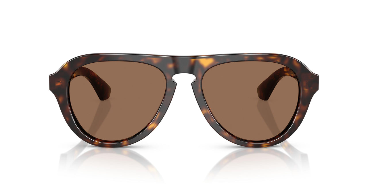 300273 - Brown - Dark Brown