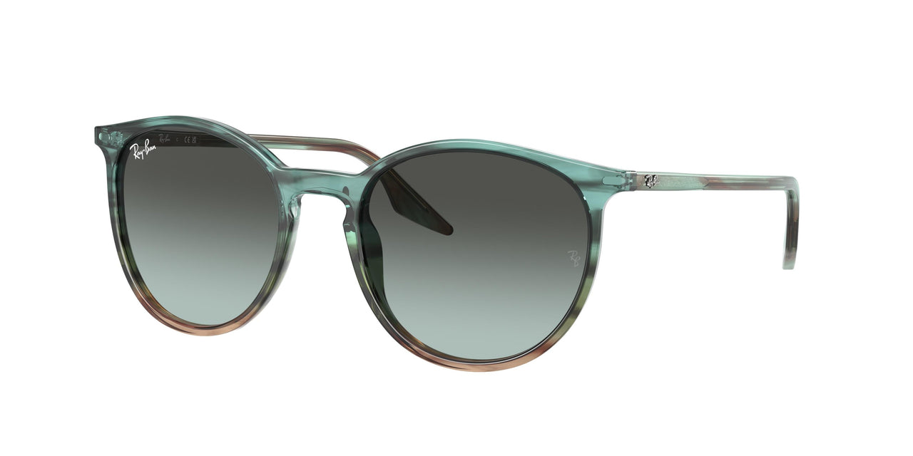 Ray-Ban 2204 Sunglasses