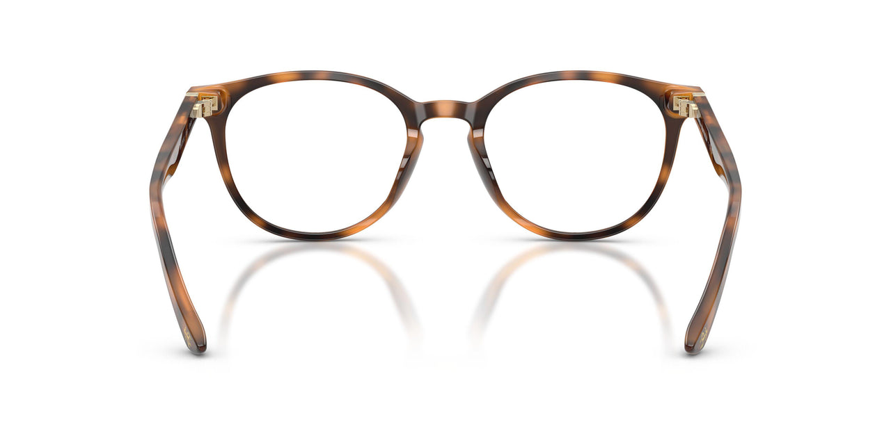 6161 - Tortoise