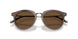 646753 - Tortoise - Dark Brown