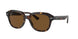 Ray-Ban Erik 4398F Sunglasses