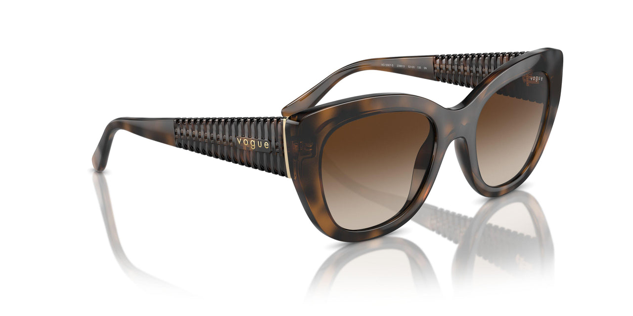 238613 - Brown - Gradient Brown