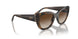 238613 - Brown - Gradient Brown