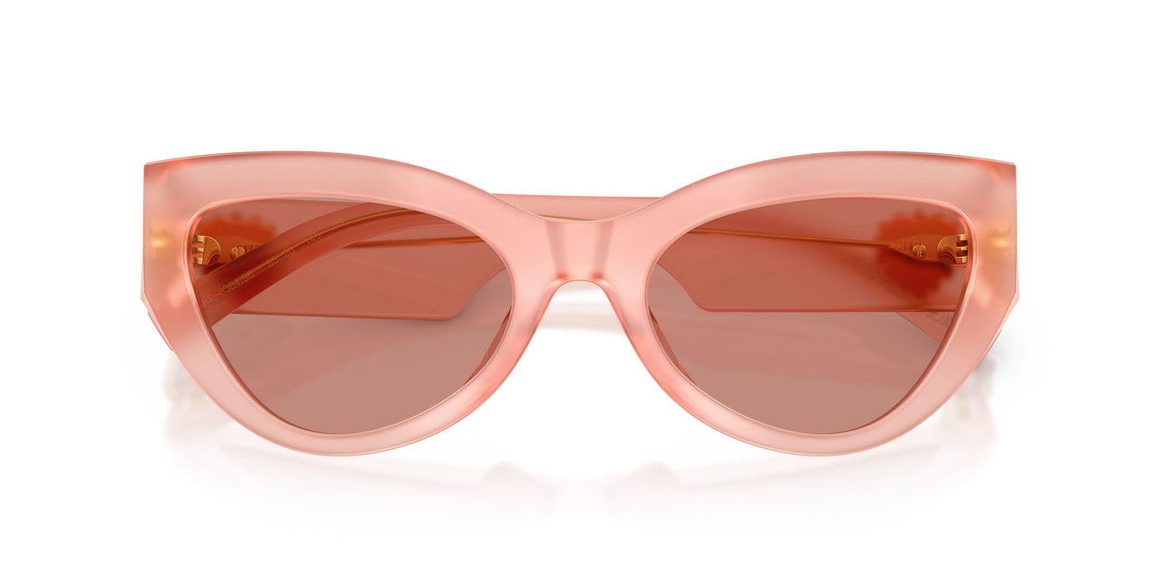 338496 - Pink - Dark Violet