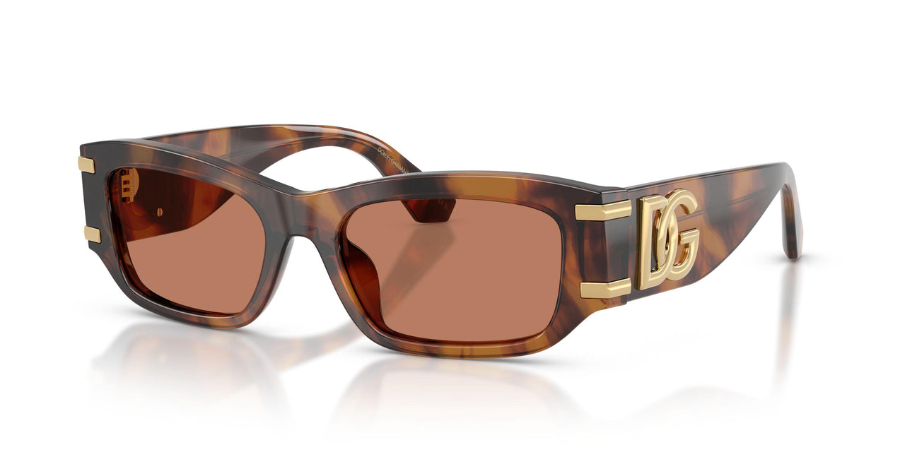 Dolce & Gabbana 4564 Sunglasses