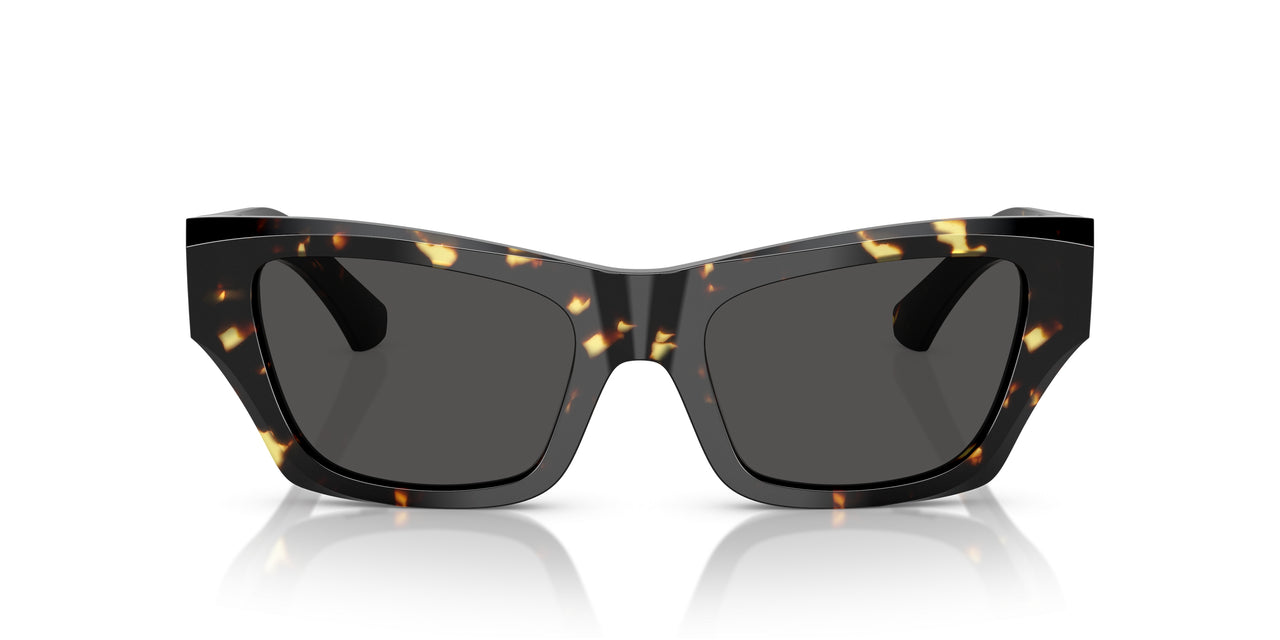 410687 - Tortoise - Dark Grey