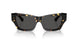 410687 - Tortoise - Dark Grey