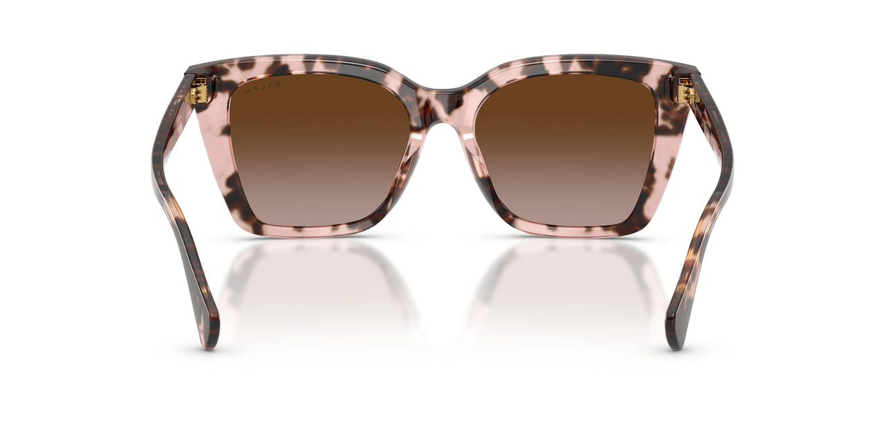 605813 - Tortoise - Gradient Brown
