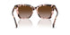 605813 - Tortoise - Gradient Brown