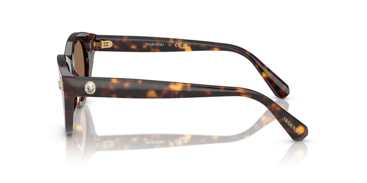 100273 - Tortoise - Dark Brown