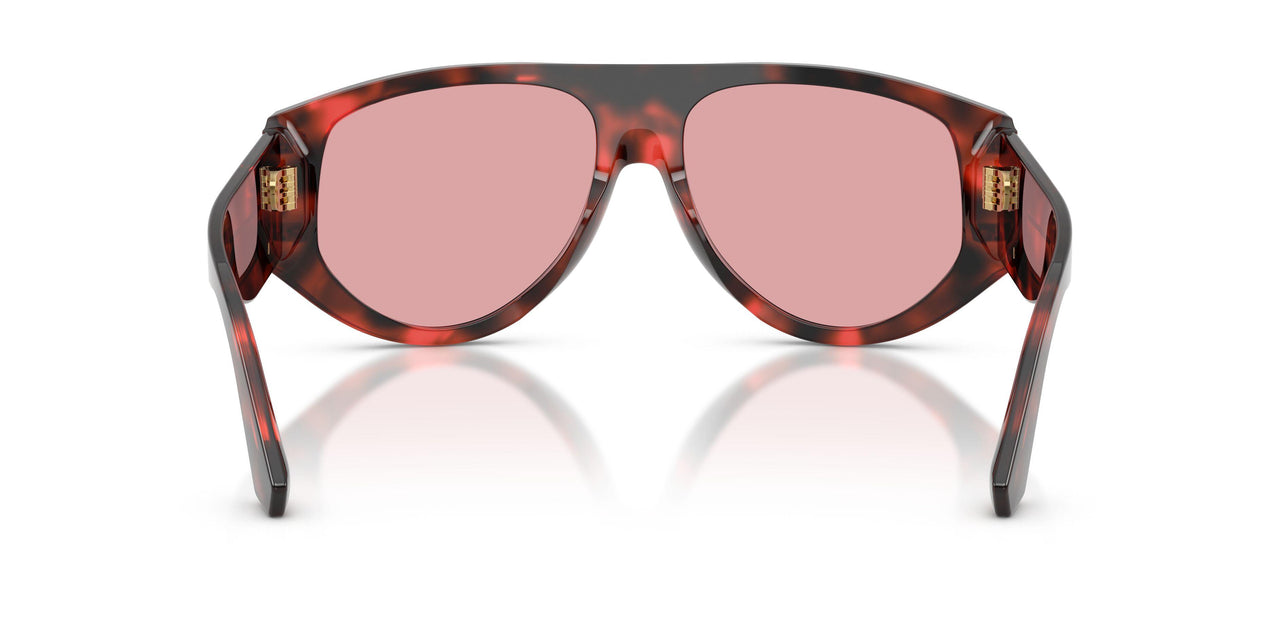 335884 - Tortoise - Light Violet