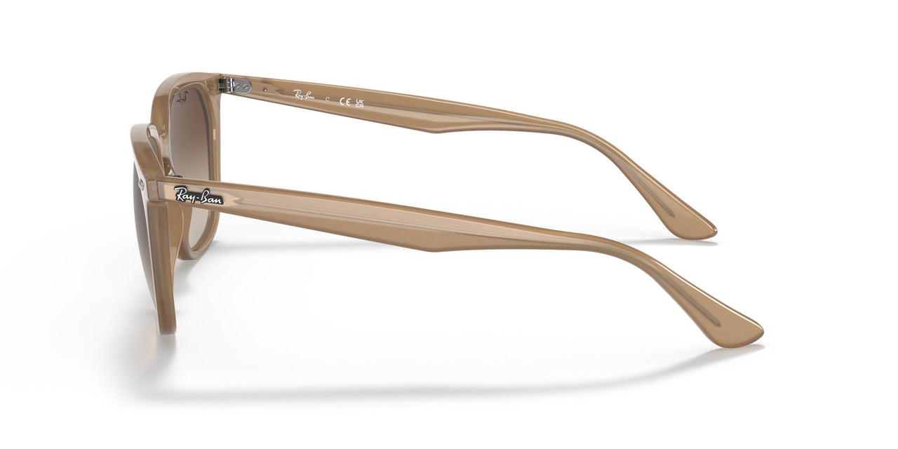 616613 - Light Brown - Gradient Brown