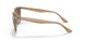 616613 - Light Brown - Gradient Brown