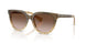 420113 - Brown - Brown Gradient