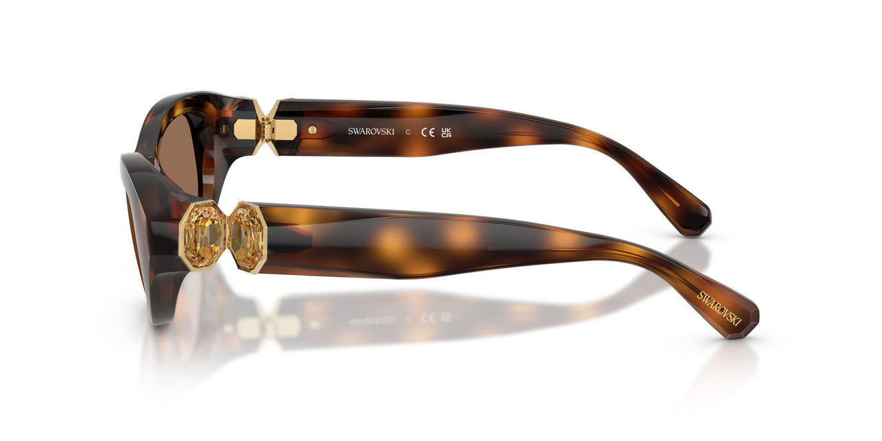 100273 - Tortoise - Dark Brown