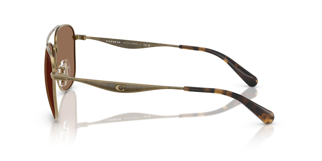 933373 - Gold - Brown Solid