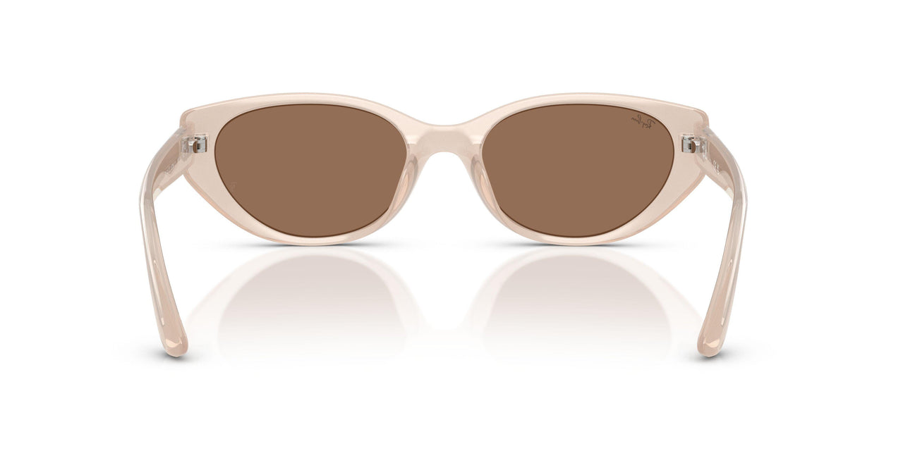 678673 - Brown - Dark Brown