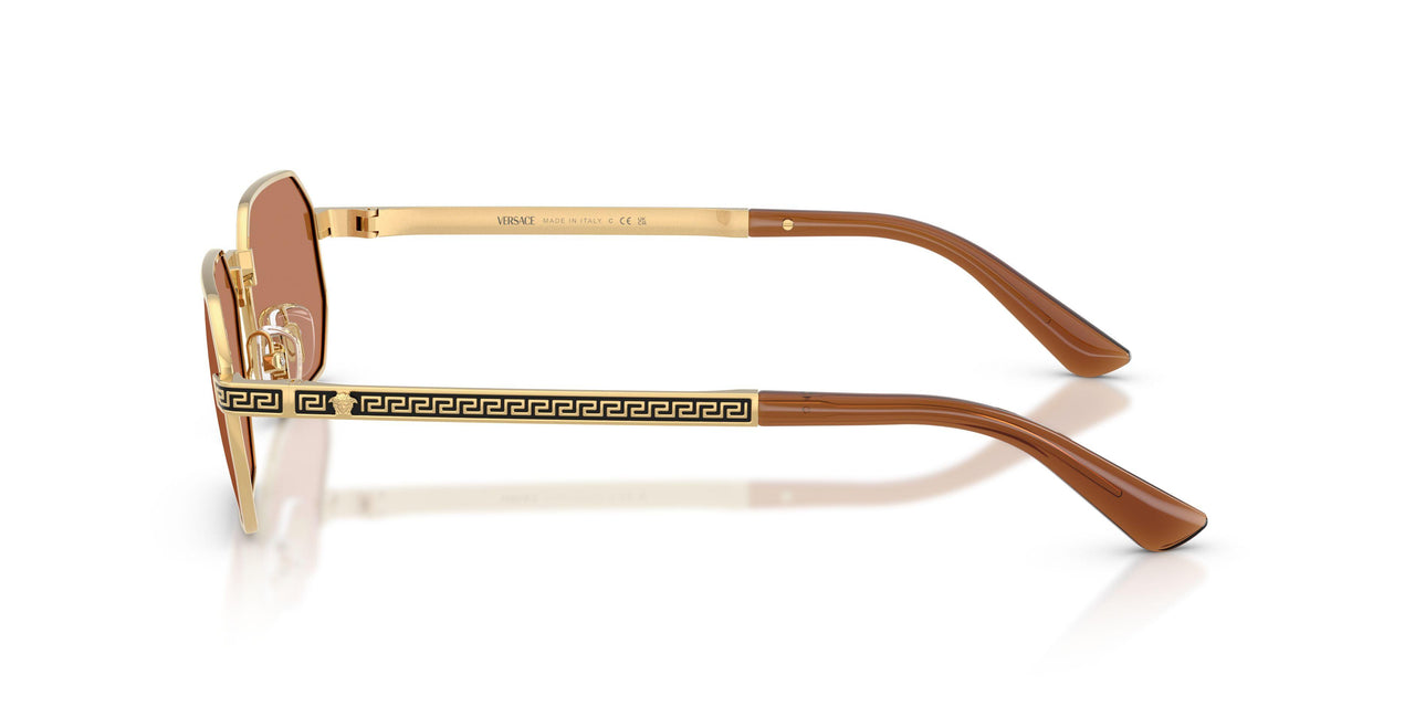 100273 - Gold - Brown